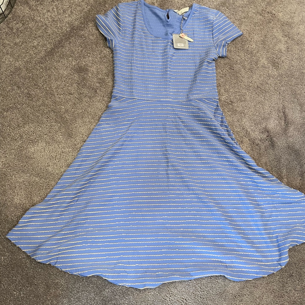 Matilda Jane Women’s Dress